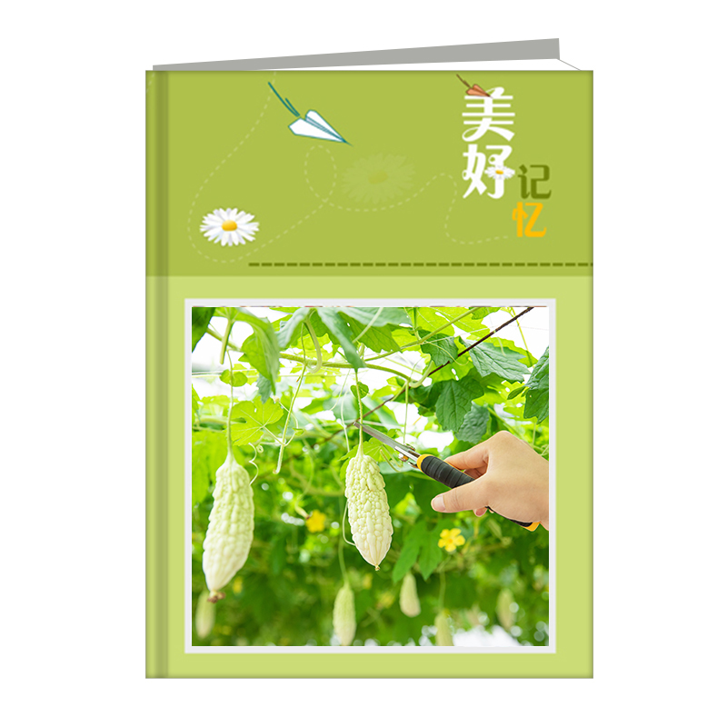 12寸高清精装对裱相册
